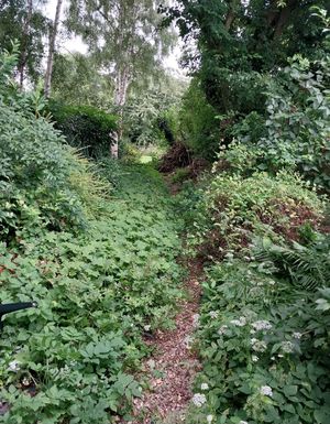 Photo 15- click for photo gallery